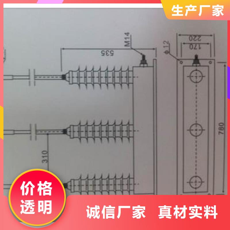 TBP-O-4.6F组合式保护器