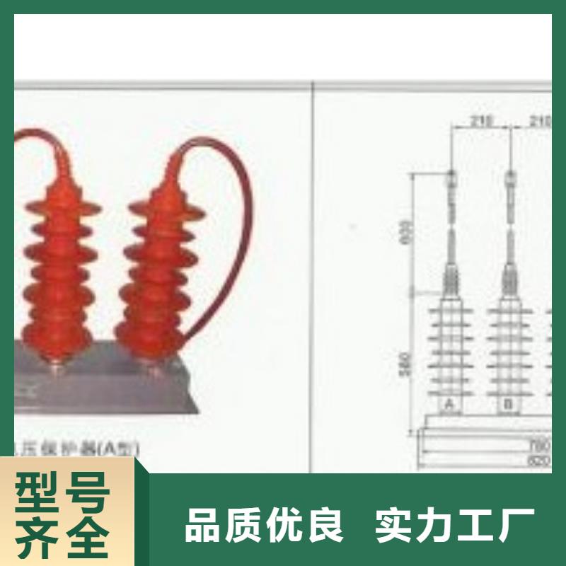 TBP-B-42F/200串联间隙过电压保护器