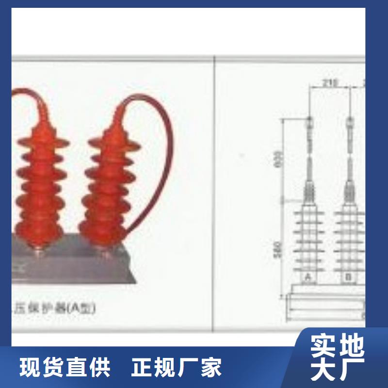 TBP-O-4.6F组合式保护器