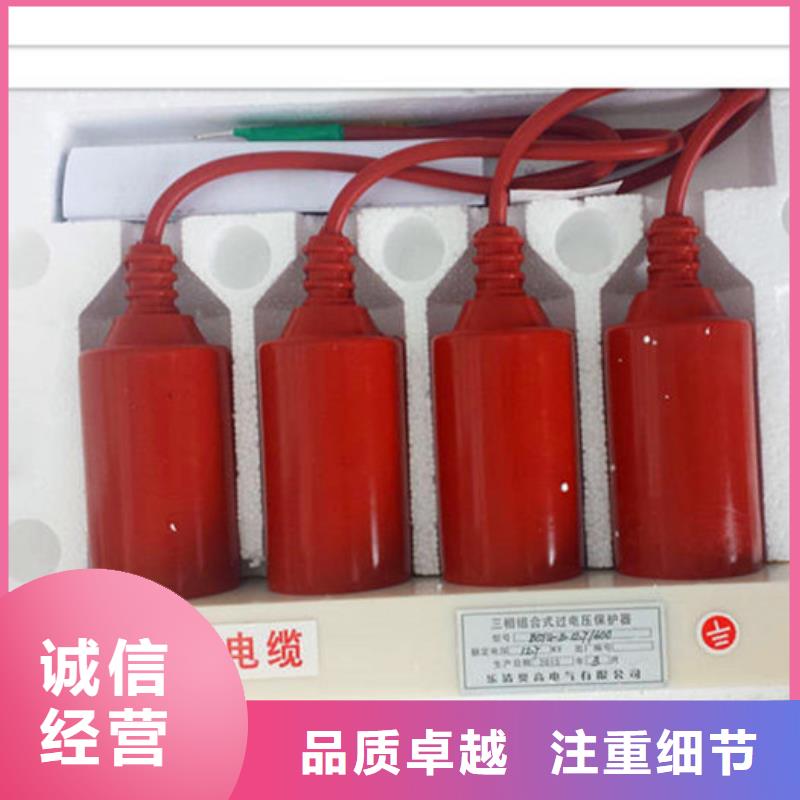 TBP-O-4.6F组合式保护器