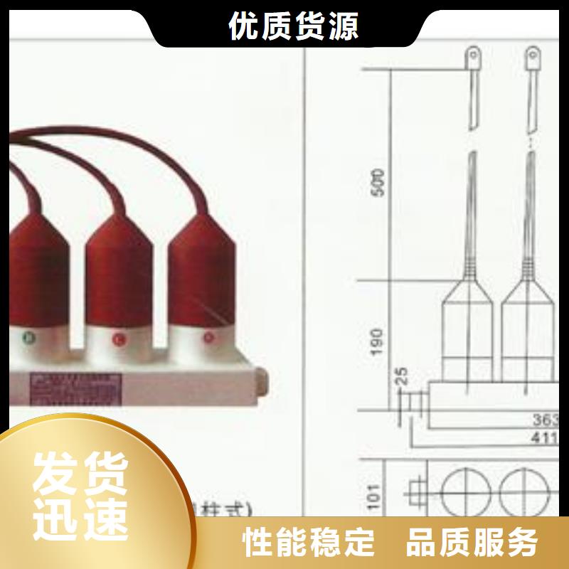 过电压保护器绝缘子厂家销售