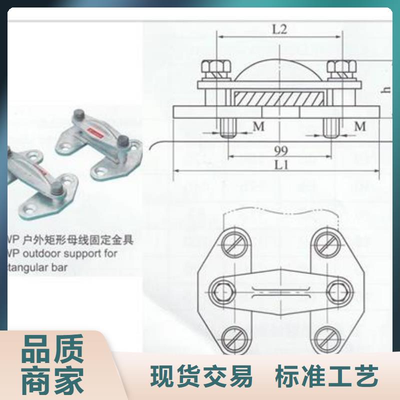 TMY-6*80母线樊高