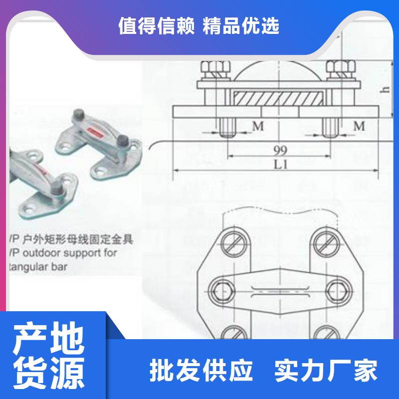 MGZ-200终端球