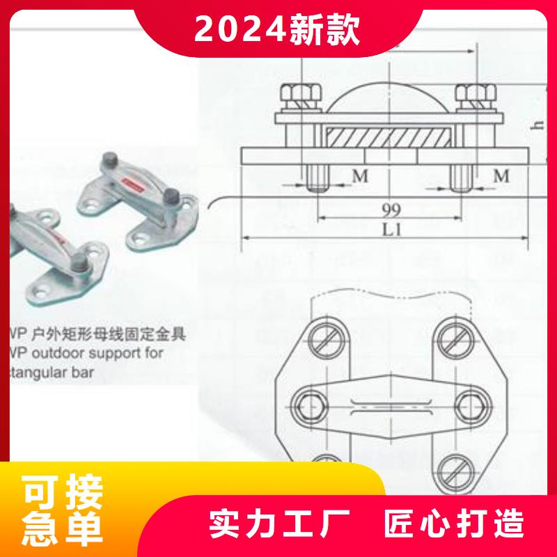 TMY-120*10高压母线樊高