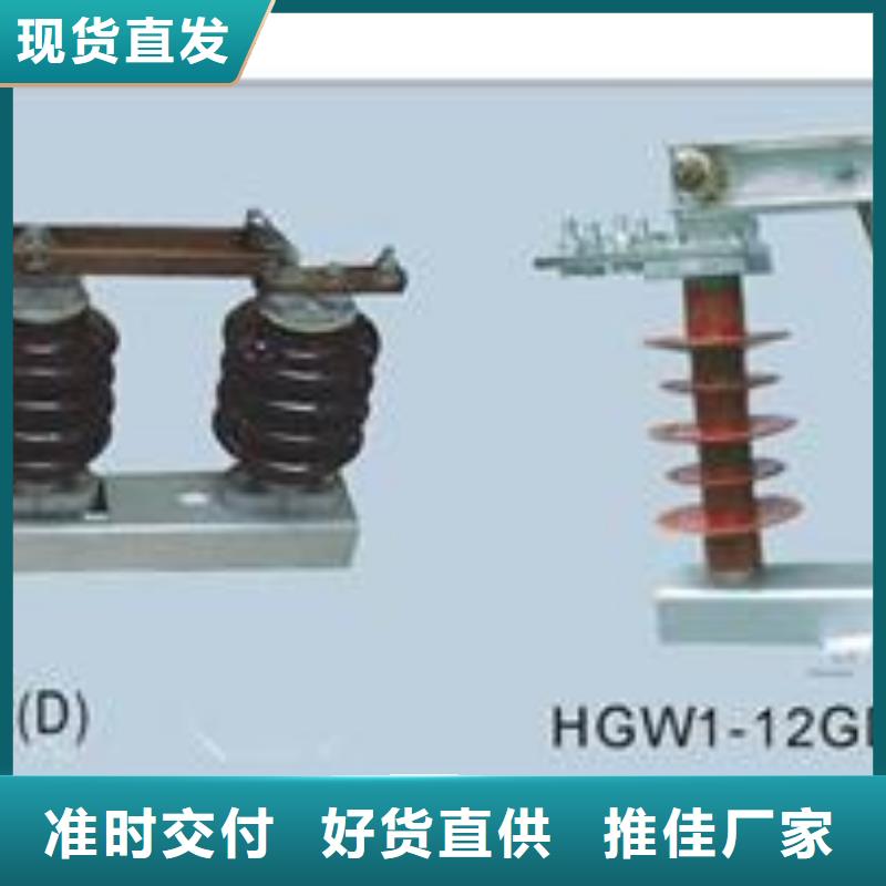 专业品质[樊高]GN22-10DC/1600户内高压隔离开关