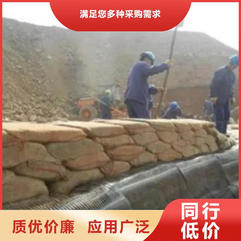 单向塑料格栅复合土工布出厂严格质检