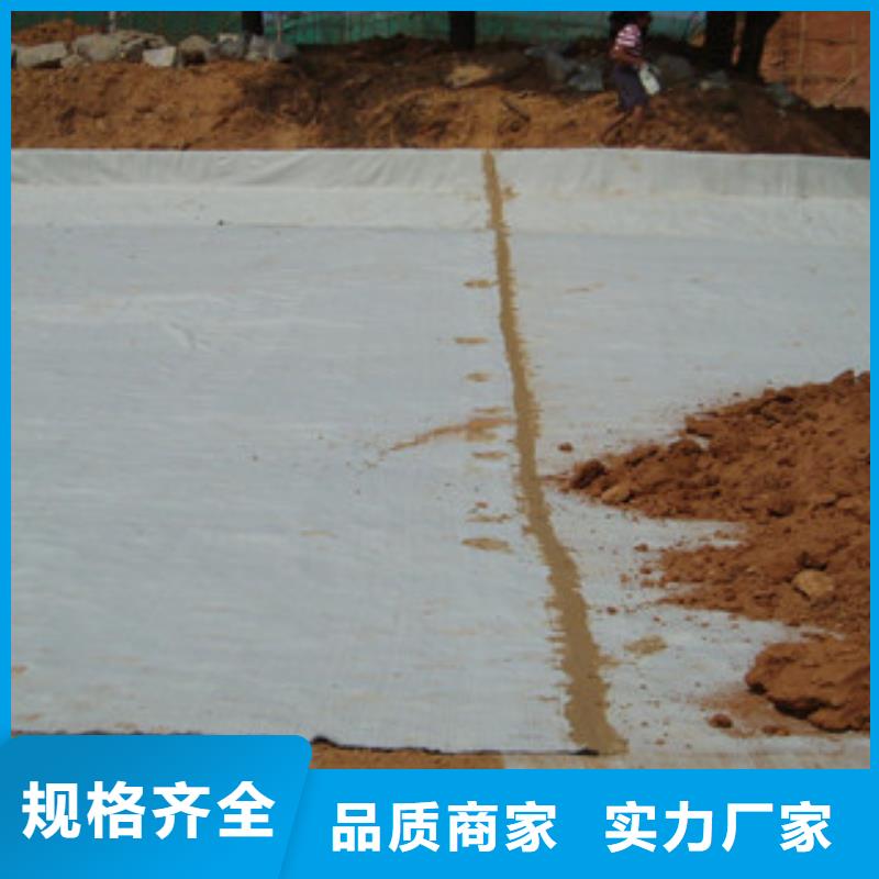 【膨润土防水毯】玻纤土工格栅技术先进