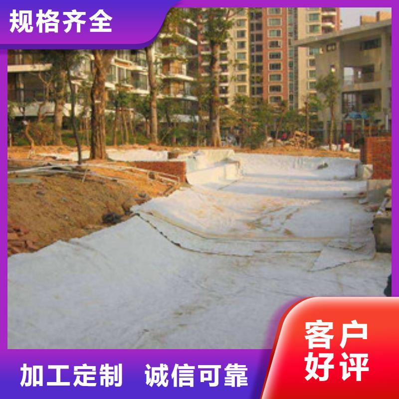 膨润土防水毯塑料土工格栅把实惠留给您