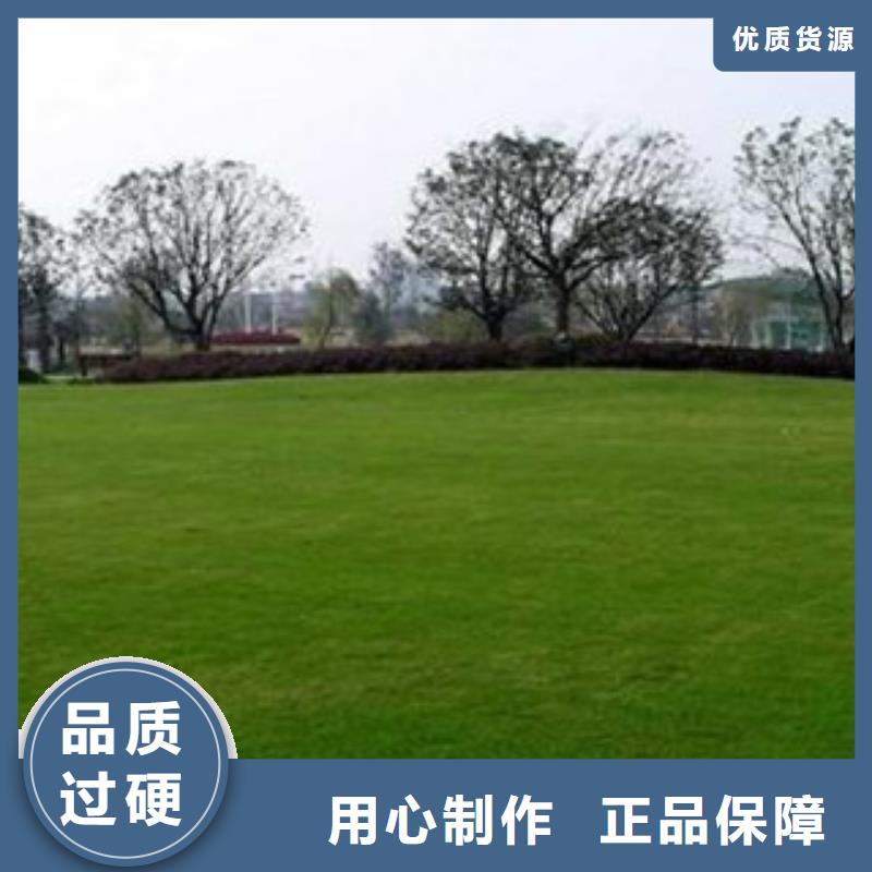 人造草坪价格地道