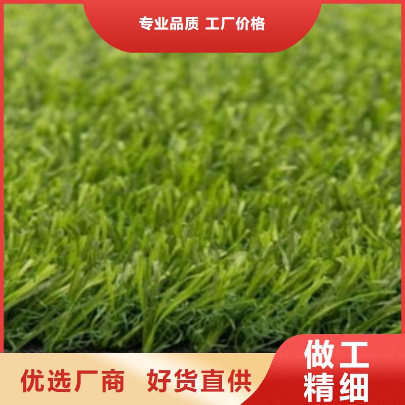 人造草坪塑胶地板品质保障价格合理