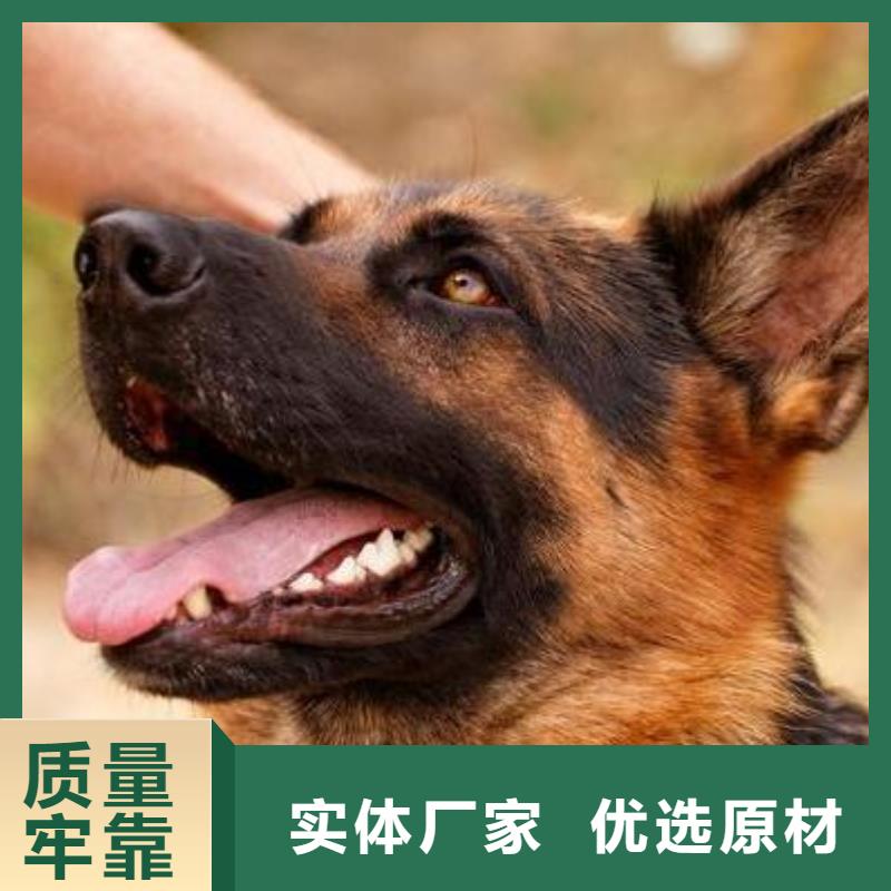 【德国牧羊犬】,黑狼工程施工案例