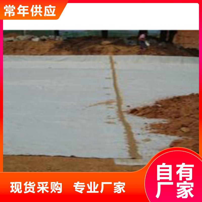 防水毯膨润土防水毯厂家工厂批发