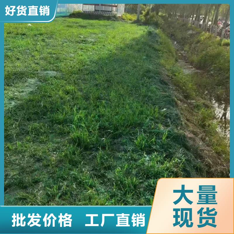 铁路煤炭运输抑尘剂厂家直营