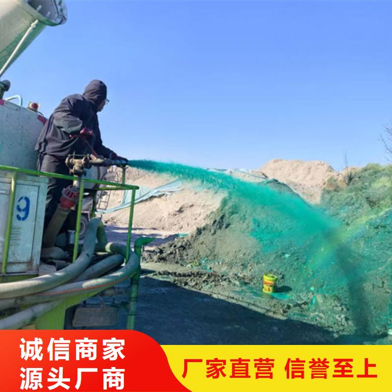 环保抑尘剂量大从优