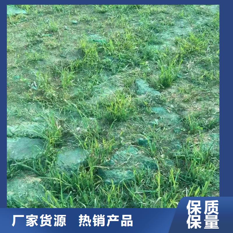 道路保湿抑尘剂量大从优