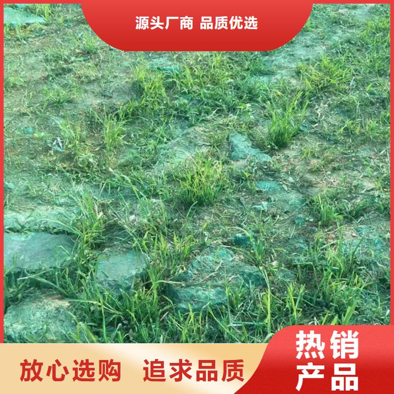 环保抑尘剂量大从优