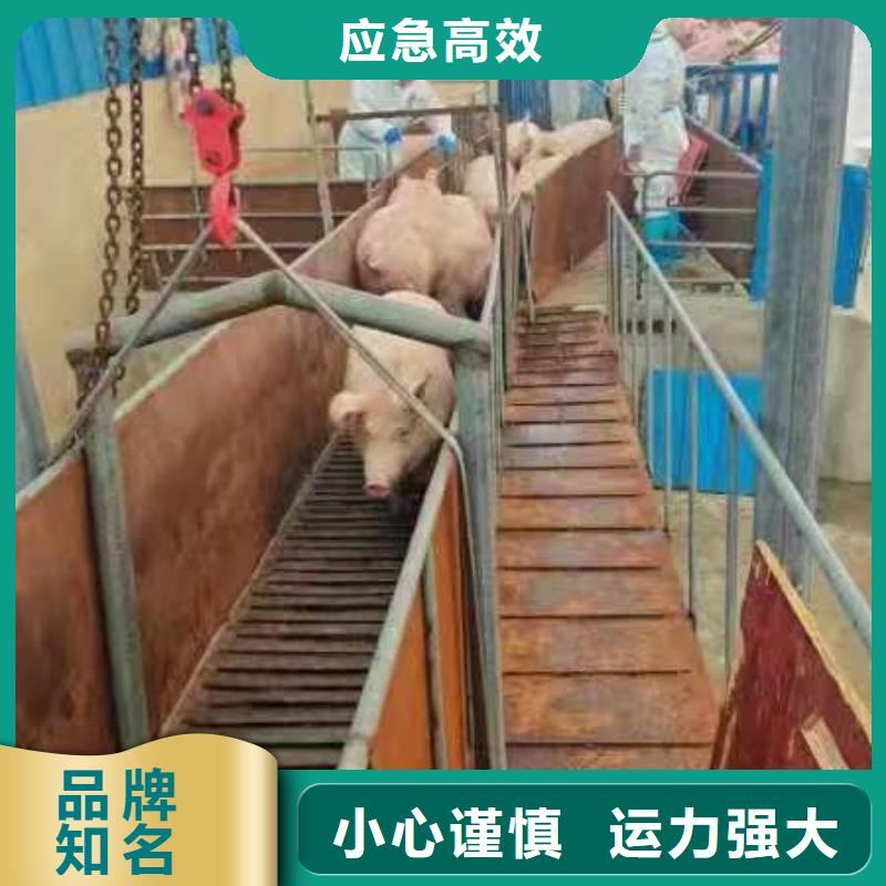 宿迁市到牲畜运输监控到位