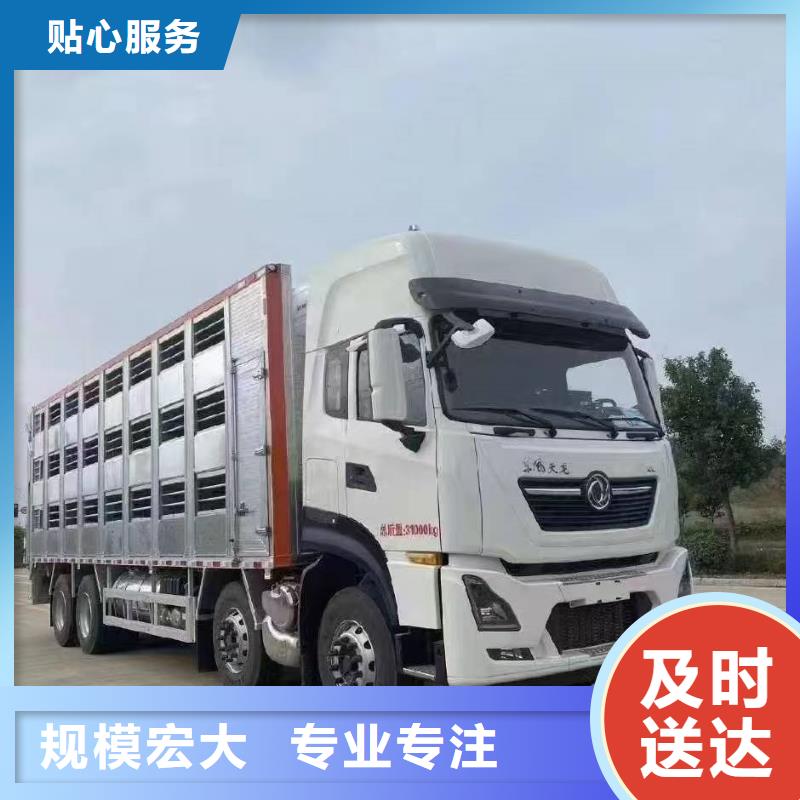 宿迁市泗洪到猪只运输专用车实力雄厚