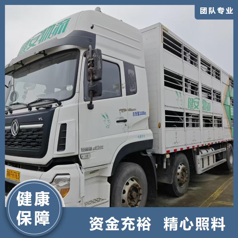 宿迁市泗阳到猪只运输专用车专业专注