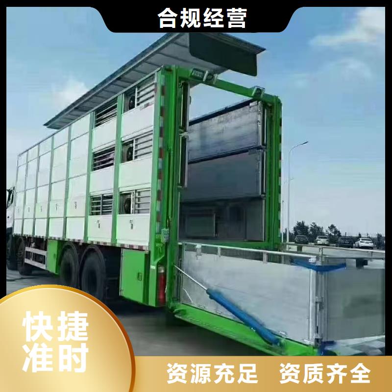 宿迁市泗洪到活禽运输有条不紊