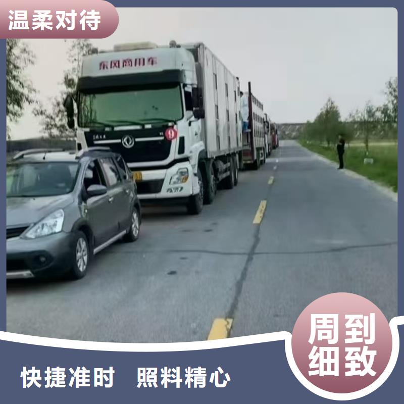 宿迁泗洪到种猪运输