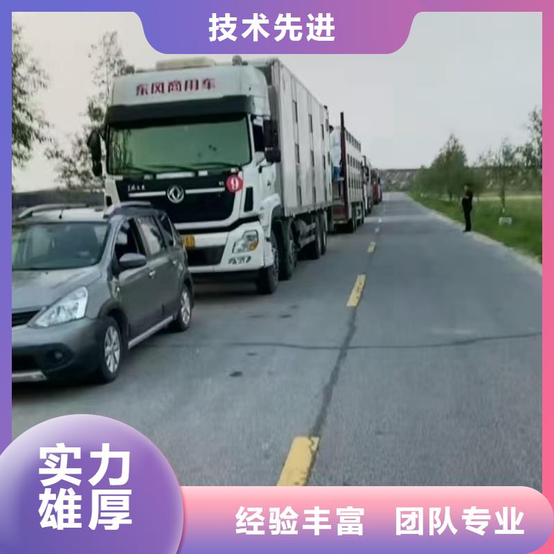 宿迁市泗洪到活禽运输有条不紊