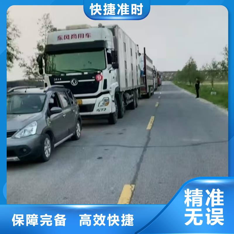 宿迁市泗洪到猪笼车运输信誉卓著