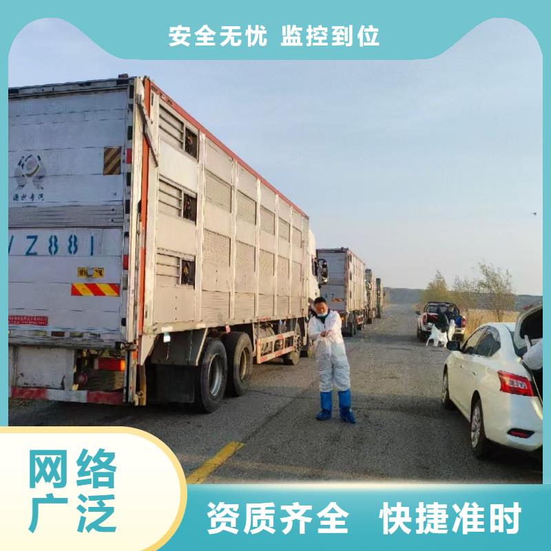 宿迁到畜禽物流快捷
