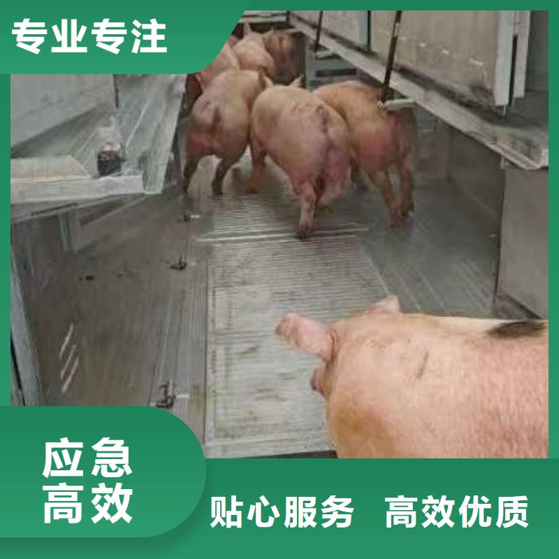 宿迁市到牲畜运输监控到位