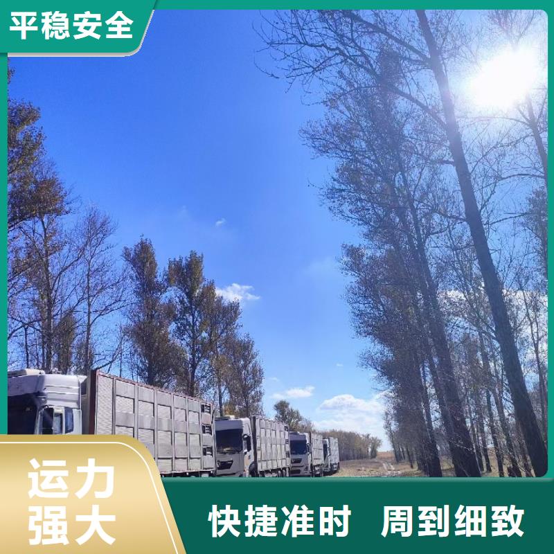 宿迁市泗洪到猪只运输专用车实力雄厚