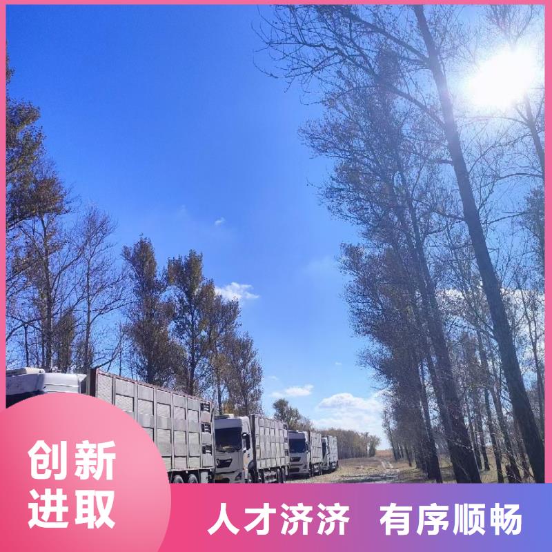 宿迁市泗洪到活禽运输有条不紊