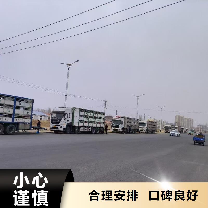 宿迁市泗阳到原料运输品牌知名