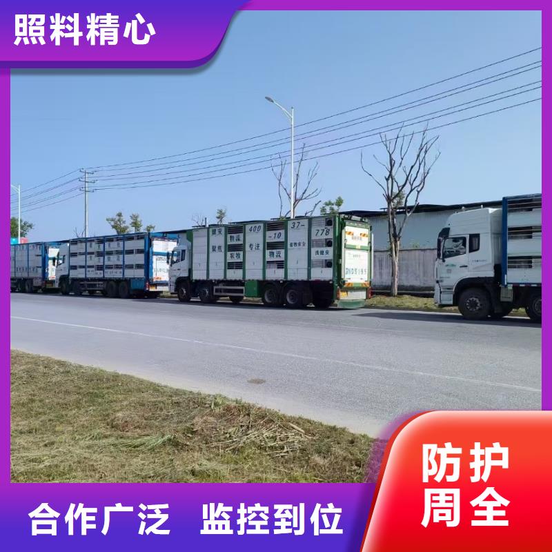 宿迁市泗阳到原料运输品牌知名