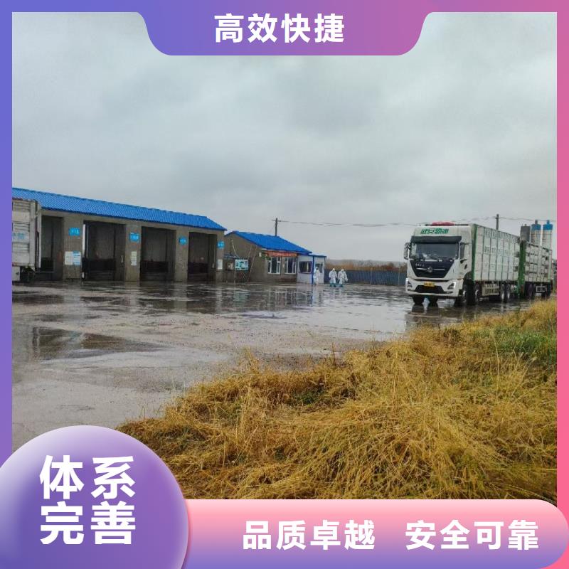宿迁到羊运输支持到付