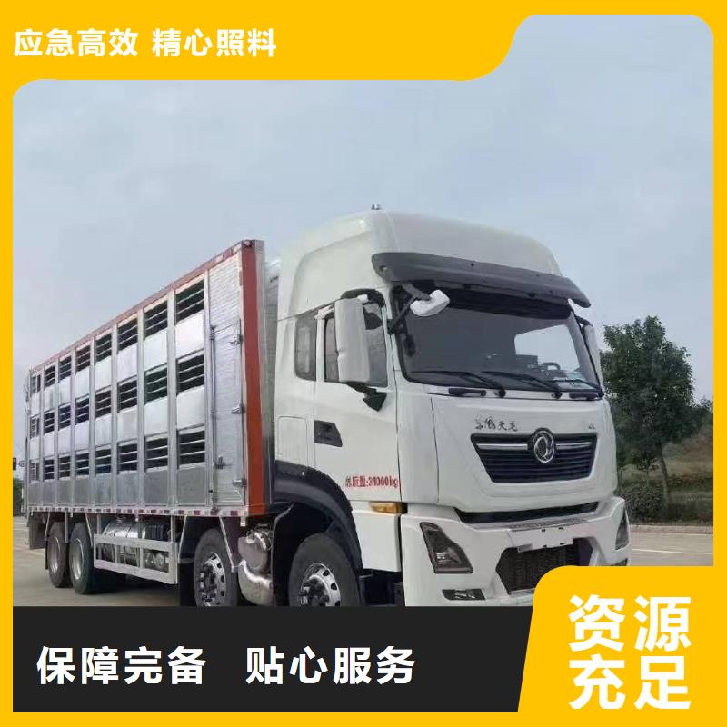 宿迁到种猪恒温车运输当日发车