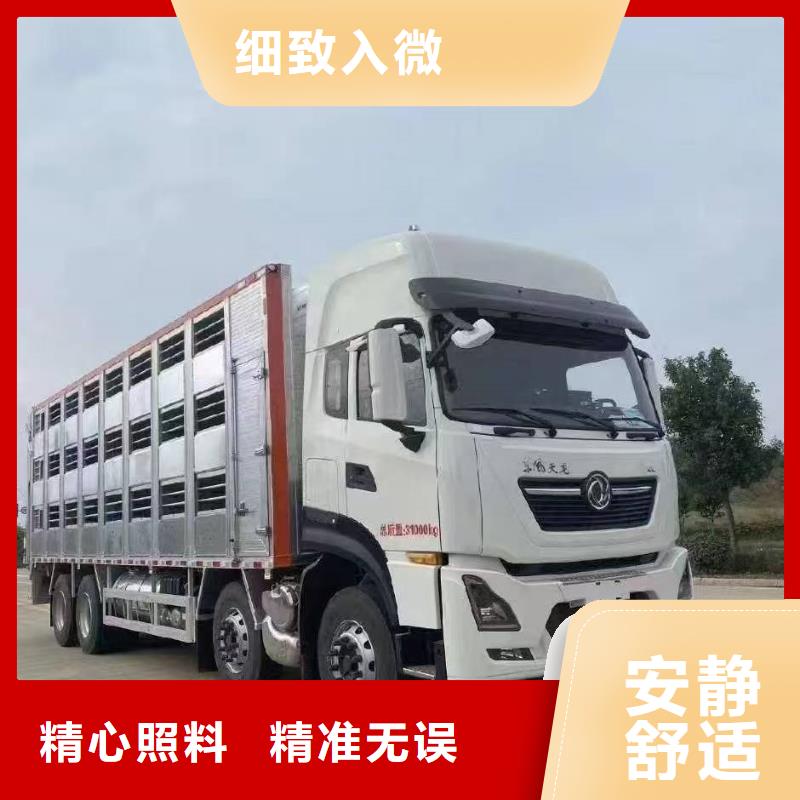 宿迁市泗洪到猪只运输专用车实力雄厚