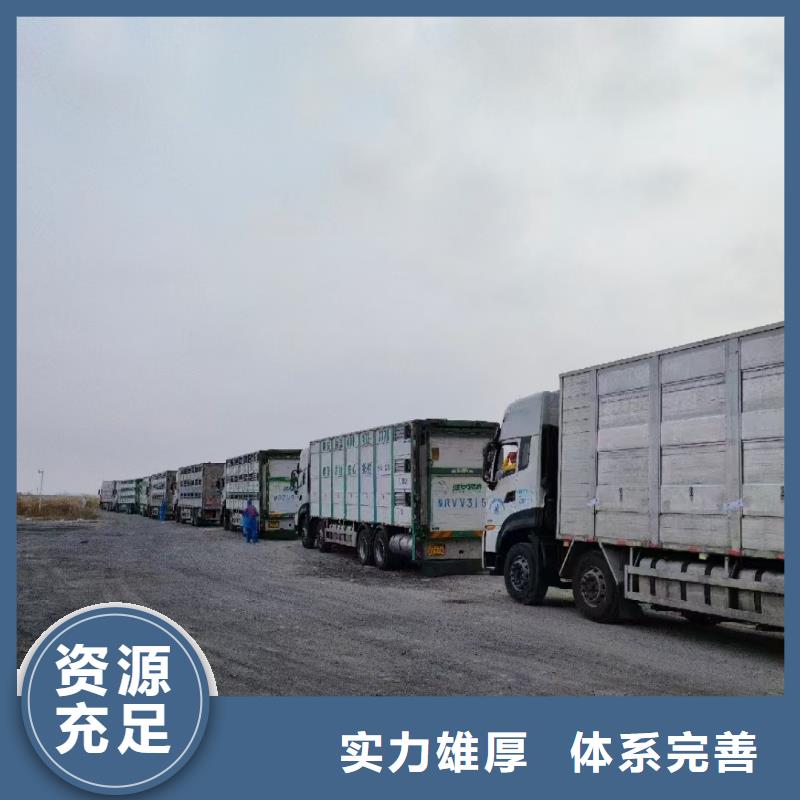 宿迁到羊运输支持到付