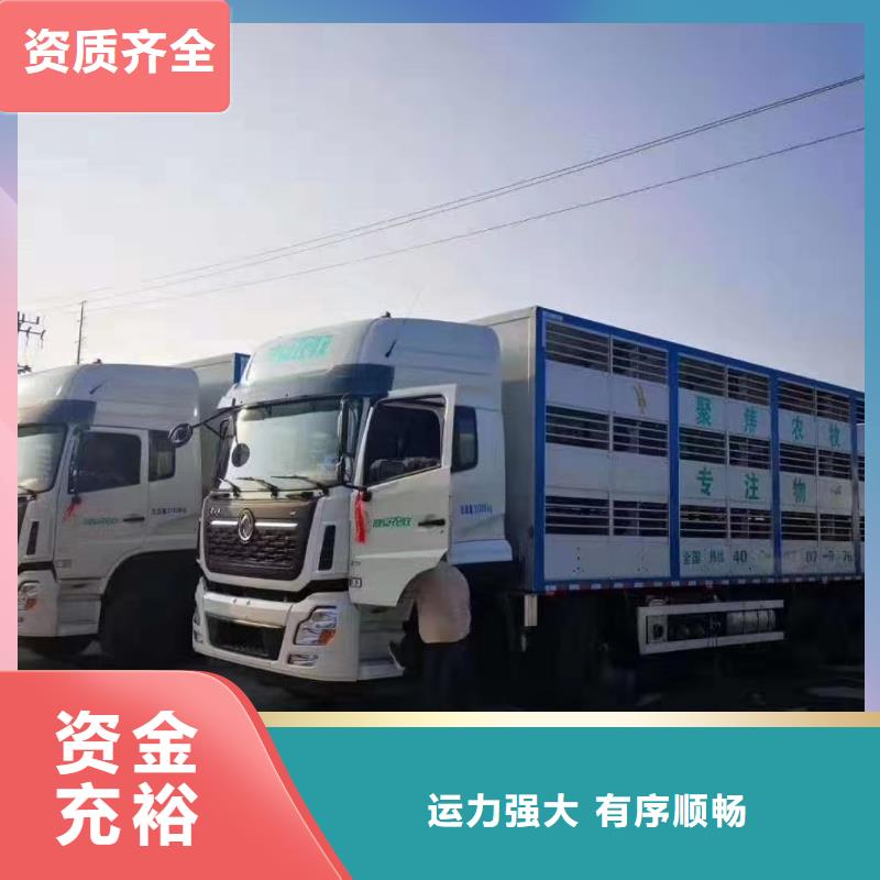 宿迁市泗洪到活禽运输有条不紊