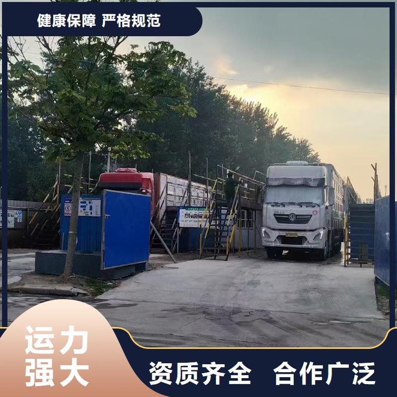 宿迁市泗阳到原料运输品牌知名
