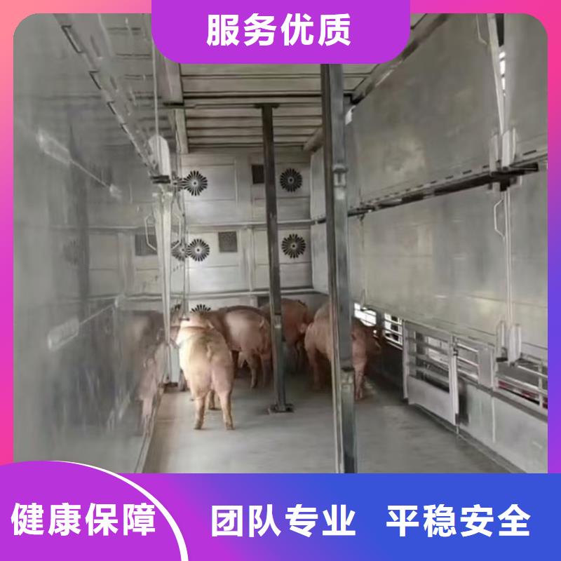 宿迁市到牲畜运输监控到位