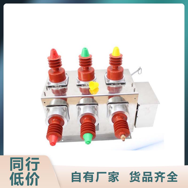 河池ZW8M-12/630-12.5真空断路器售后无忧
