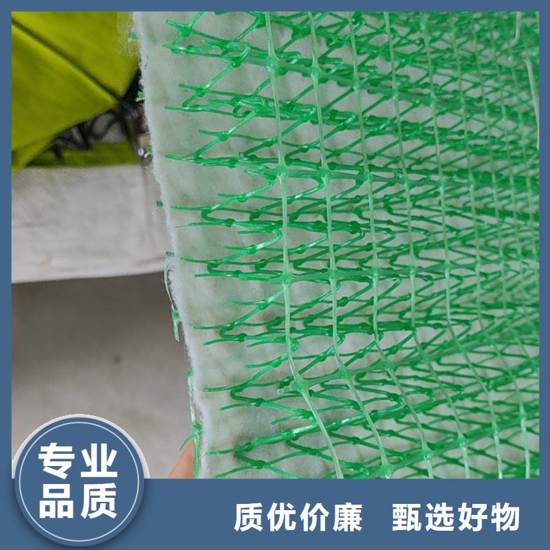 鑫海市政工程专用稻草毯现货批发货真价实土工网垫加筋植草