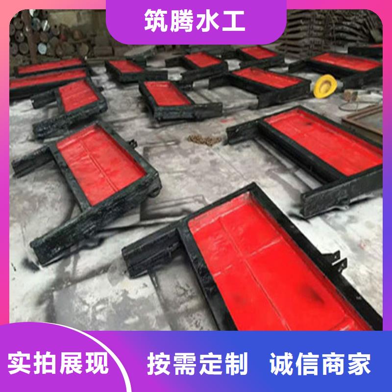 附壁式铸铁闸门用心经营