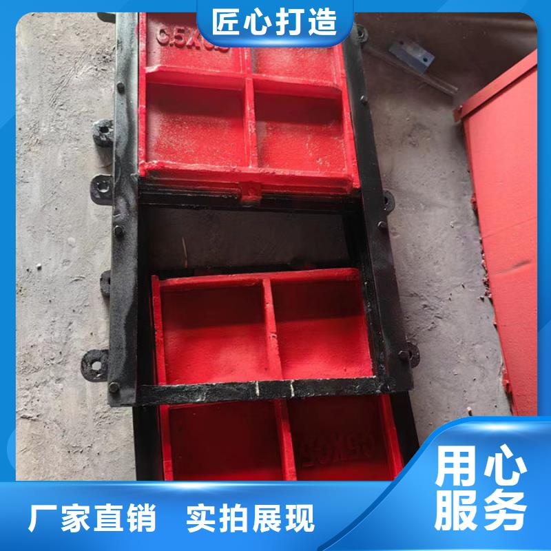附壁式铸铁闸门用心经营