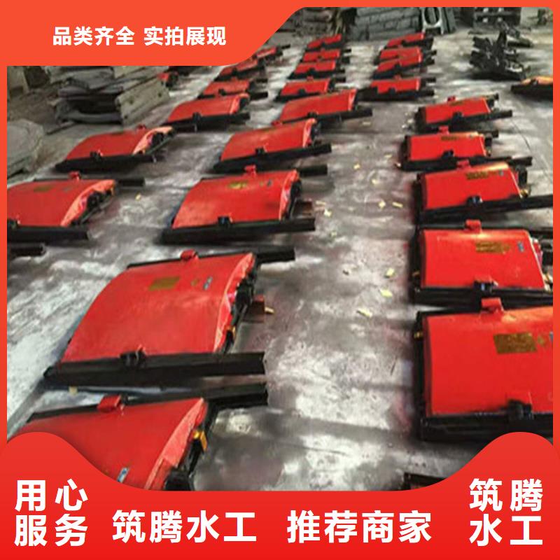 附壁式铸铁闸门用心经营