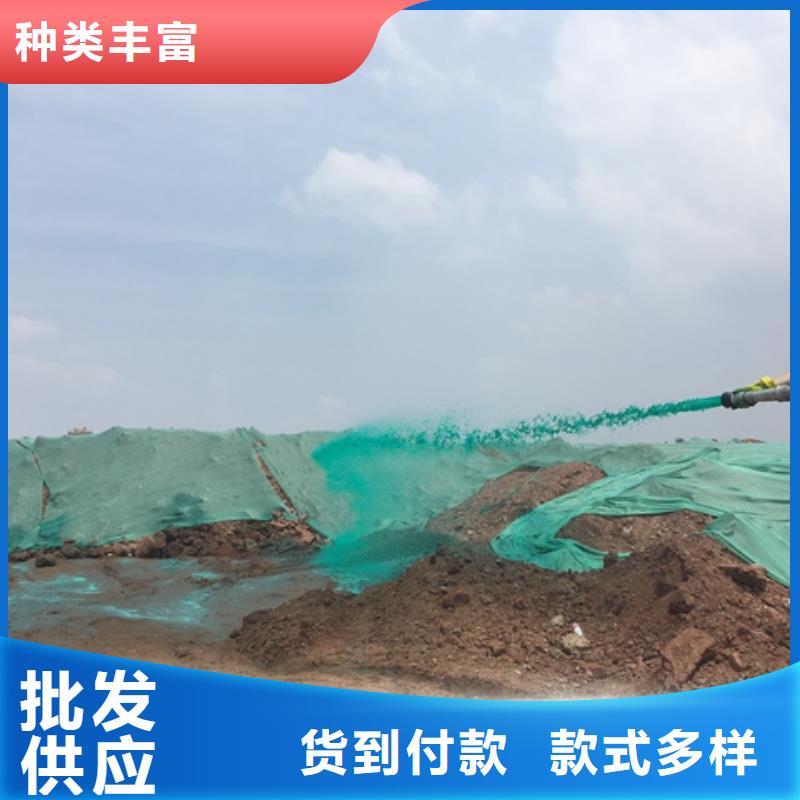 氮氧化物治理溶液pm2.5道路治理溶液